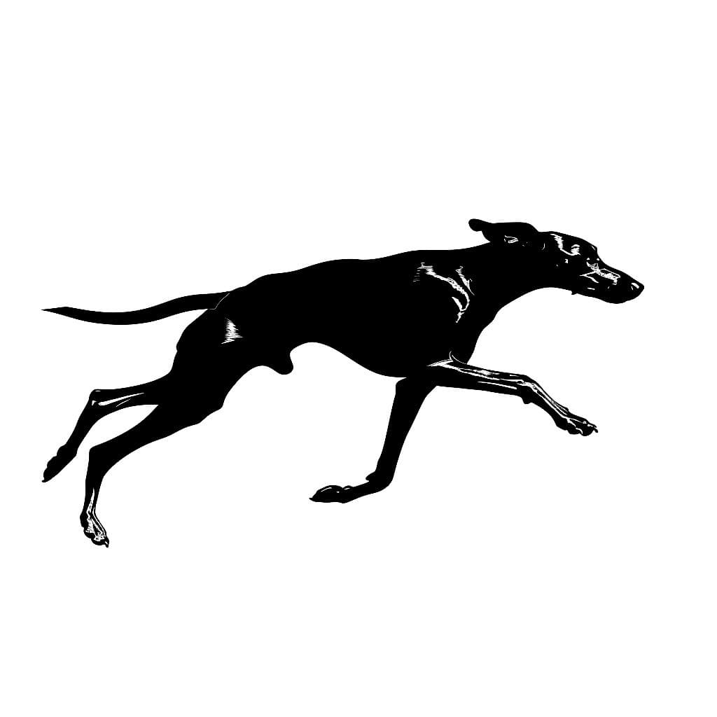 Introducing NeuronSearchLab